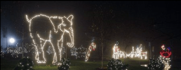 Turtle Back Zoo Lights up the Night