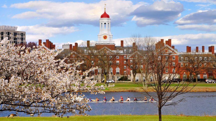 Gender Pronouns at Harvard and Having Them Stay in Classrooms