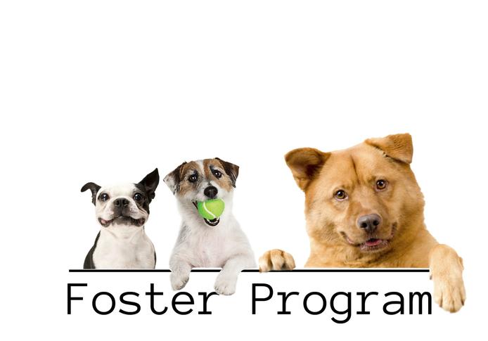 Local+Foster+Puppy+Parents
