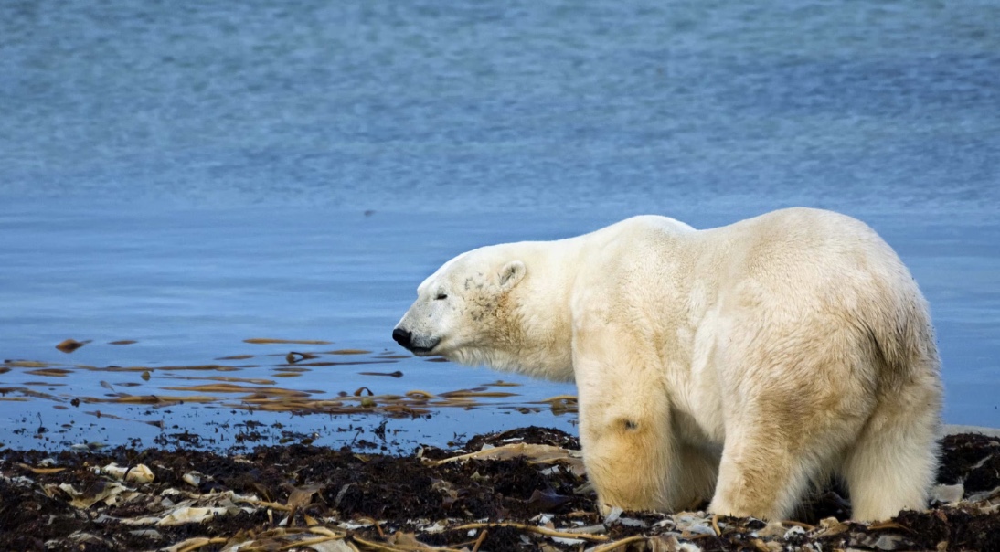The Future Is Warming: Why Climate Change Matters